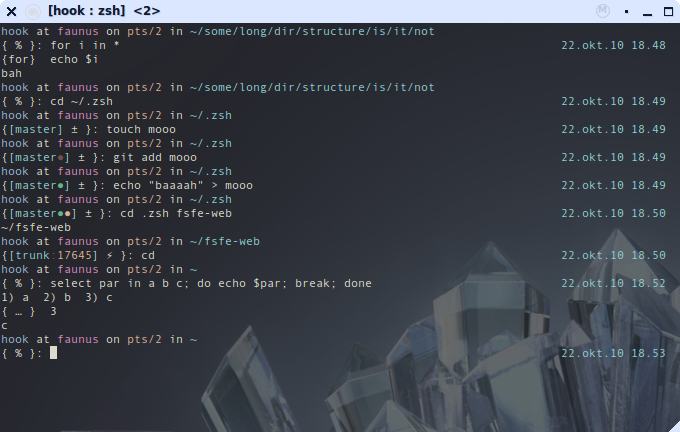 Screenshot of a very cool Zsh prompt