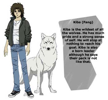 Kiba from Wolf's Rain